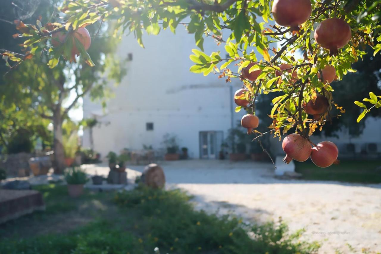 Rooms Masseria Giangrande Polignano a Mare Exterior photo