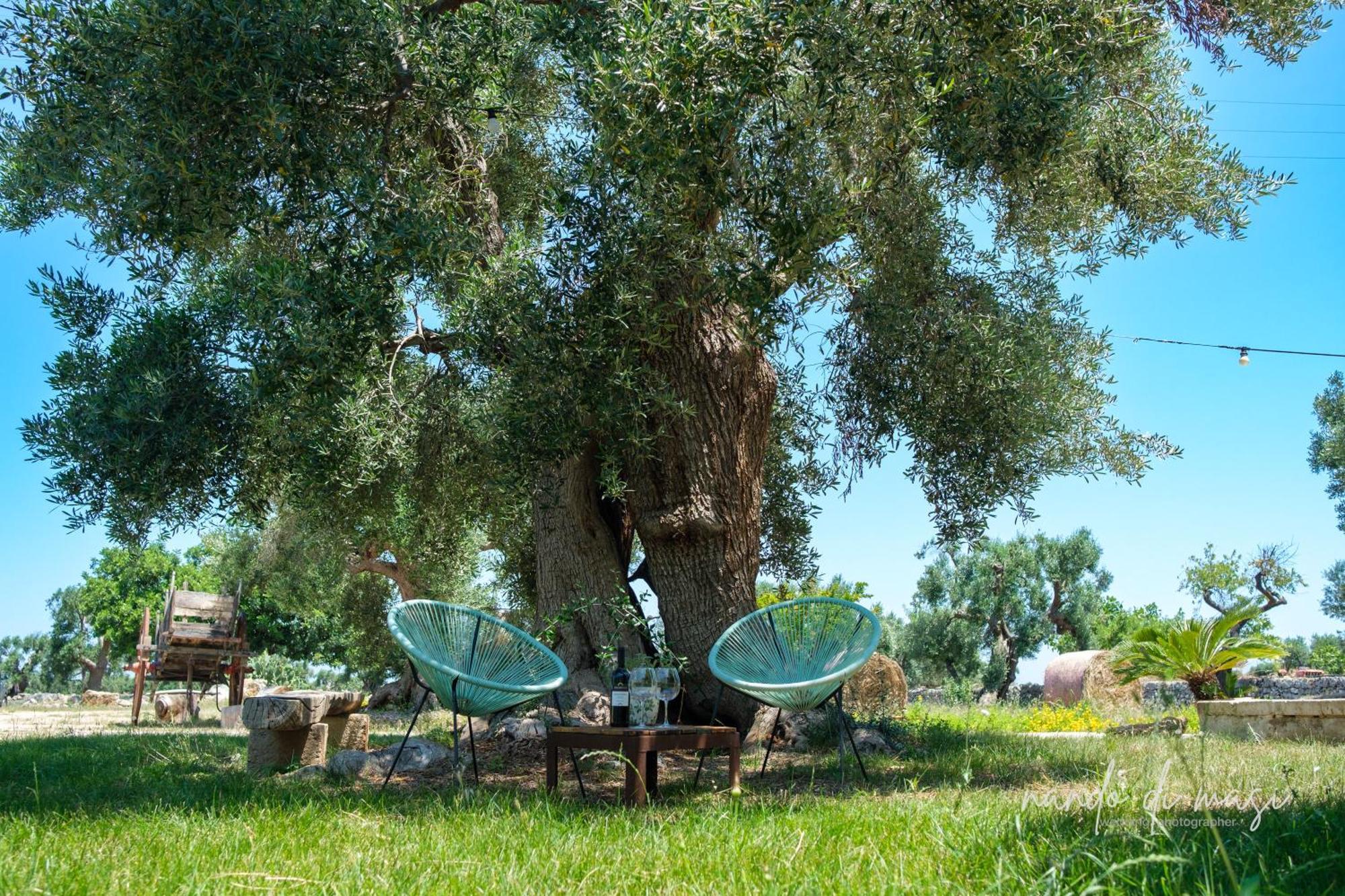Rooms Masseria Giangrande Polignano a Mare Exterior photo